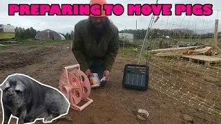 Setting up electric fence to move our heritage pigs on our homestead farm