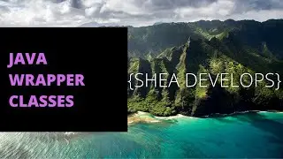 Beginner Java Tutorial on Wrapper Classes