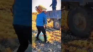 خلاقیت و نوآوری ، creative innovative #videos #youtubeshorts #innovation