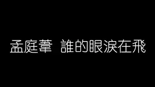 孟庭葦   誰的眼淚在飛 無損音樂FLAC 歌詞LYRICS 純享