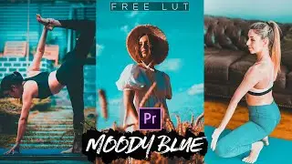 Moody Blue Premiere Pro LUT | Free LUT Download | Premiere Pro LUT | Free Moody Blue LUT ⚡️⚡️