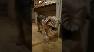 деньги не главное