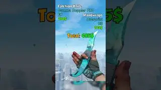 BEST Knife-Glove-Combo under 500$ 
