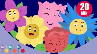Five Little Flowers + More Number And Colour Songs | ItsyBitsyKids