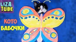 Butterfly Cats 😸 A new transformation of cats 🍀 Liza and three cats 🌸 LizaTube