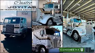 ¡Las 4 joyitas de transportes CASTORES en Camiones Mx!