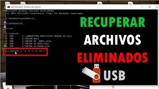 Recover Deleted Files from USB Drive by Virus | Remove USB Viruses from Cmd |