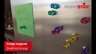 Poppstar - Neodymium cone magnets for whiteboard, fridge, etc. | Holds up to 11 DIN A4 pages