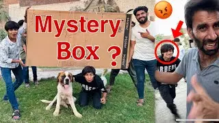 Subhan Ko Mystery Box Gift De Diya 😍 Mahad Or Javed Sy Larai Ho Gayi 😡