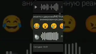 3 августа 2024 г.