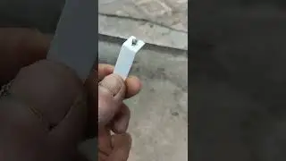 Вытащил клеща у кота.