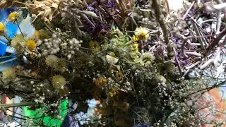 Как избавиться от муравьев в доме подручными средствами без химии.