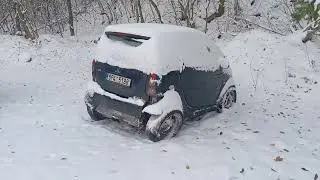 Жертва зимового дріфту