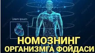 НАМОЗНИНГ ОРГАНИЗМГА ФОЙДАСИ🤲