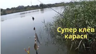 Супер клёв карася   Трофей
