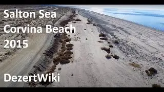 Salton Sea Corvina Beach