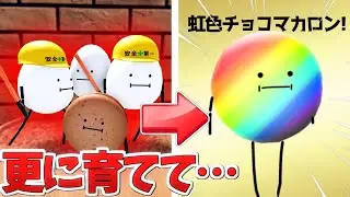 隠し要素のチートで手に入る『チョコマカロン』見つけてみた！ひみつのおるすばん【ロブロックス/ROBLOX/ろぶろっくす】