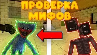 Поверка мифов в чикен ган!!! **ВЫЗВАЛ ХАГГИ ВАГГИ**