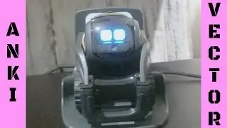 Meet Anki Vector H2N1