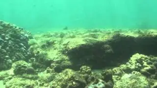 My snuba adventure :)