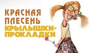 Красная Плесень - Крылышки прокладки | Лучшие песни @kr.plesen
