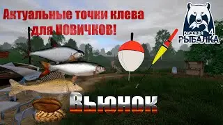 Река Вьюнок. Не знаешь где половить на Вьюнке? Смотри это видео. Русская рыбалка 4.