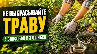 Grass clippings – FERTILIZER or POISON? The hidden truth