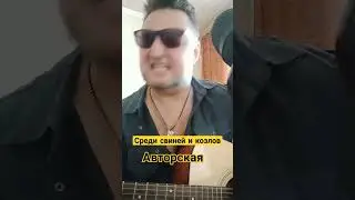 #Среди