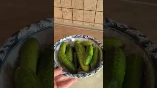 Огурчики в контейнере #малосольные #огурцы #закуска #шортс #shorts