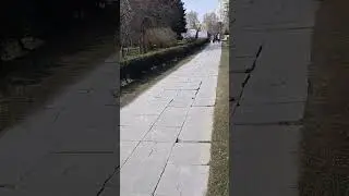 весна в городе, зеленая травка, почки 