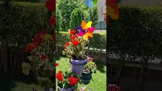 Rüzgar gülü 🩷 #video #instagram #shortvideo #viral ##youtubeshorts #youtuber #youtube #youtubevideo
