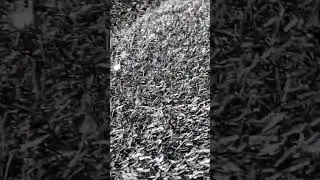 Зверемобиль #тюнингавто