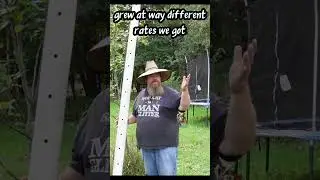Pear Trees EXTREME GROWTH!