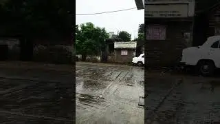 Barsaat