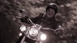 Born To Be Wild - Director's cut with Chuck Leavell - Steve'n'Seagulls