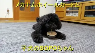 SOPOtoCART