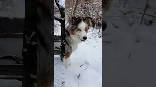 Канадская Зима ❄️ 