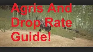 Drop Rate And Agris Guide! | Black Desert Online