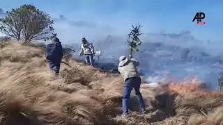 Volunteers beat back flames with tree branches as deadly wildfires rage in northern Peru