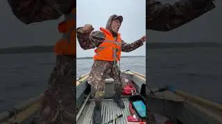Ловля дикого зверя на блесну #отдых #озеро #щука #юмор #лес #shorts #short #shortvideo
