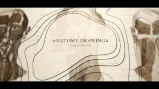 Anatomy Drawings Titles / Ancient Film Opening (Videohive After Effects Template)