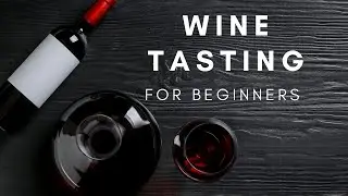 WINE 101: WINE TASTING FOR BEGINNERS PART 2