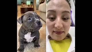 #duet