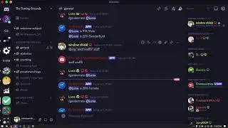 working on a discord bot for Statistics Assembly