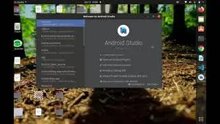 Install flutter and Dart plugin