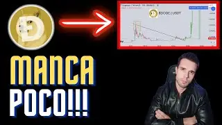 ⚠️E' APPENA L' INIZIO🚨! DOGECOIN E SHIBA INU STANNO PER ANDARE FUORI CONTROLLO!!!