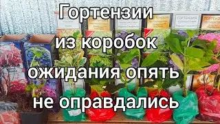 Коробки красивые ,а внутри грусть. Выход есть - делаем свое😀💗