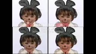 Baby Einstein Baby Dolittle Neighborhood Animals Comparison