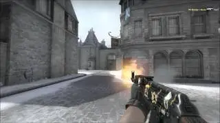 CS : GO - Operation Wildfire Royal Ace