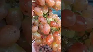 SEEDLESS GRAPES 🍇 #shorts #asmr #satisfying #fruit #grapes